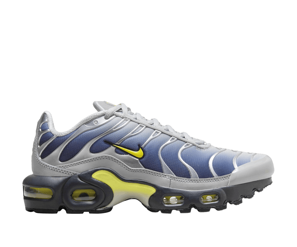 Nike Air Max Plus Obsidian Silver (GS)