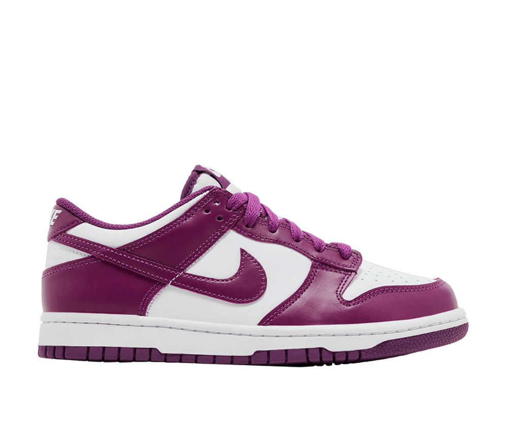 Nike Dunk Low Viotech (GS)