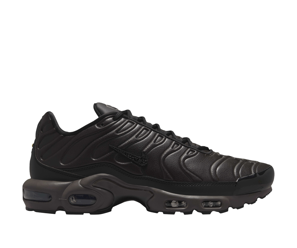 Nike Air Max Plus Premium Paris