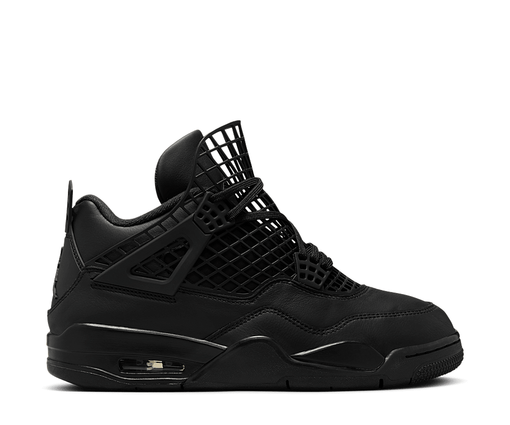 Jordan 4 Retro Net Black (Women's)